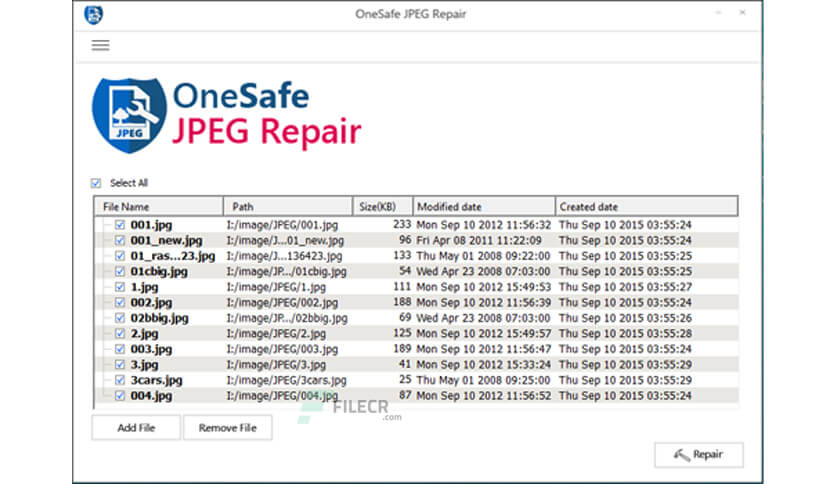 OneSafe JPEG Repair Crack Keygen 